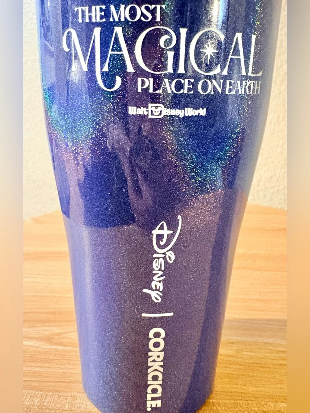 Disney Parks brand new